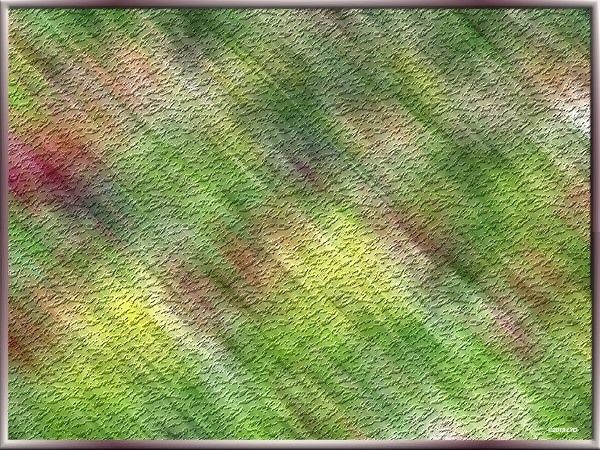 0_9bcec_a177194c_L_InPixio_1_InPixio