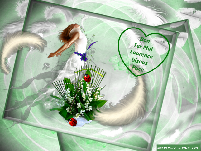 0e2bd108_InPixio12_InPixio_InPixio_InPixio