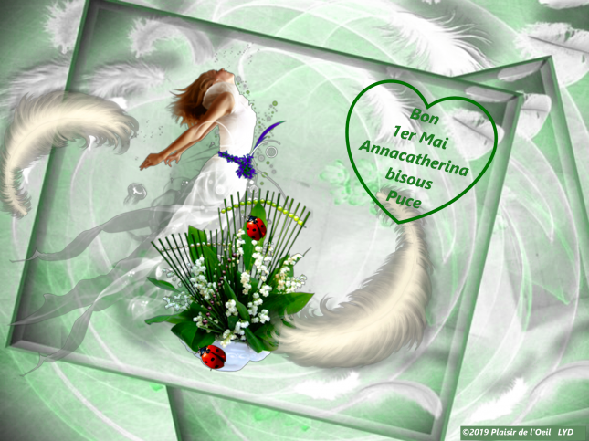 0e2bd108_InPixio12_InPixio_InPixio_InPixio1