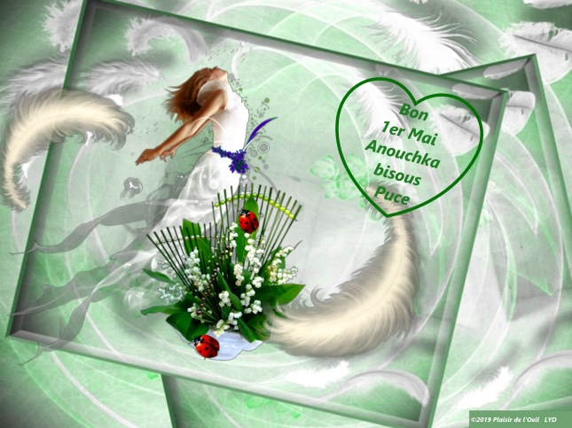 0e2bd108_InPixio12_InPixio_InPixio_InPixio2