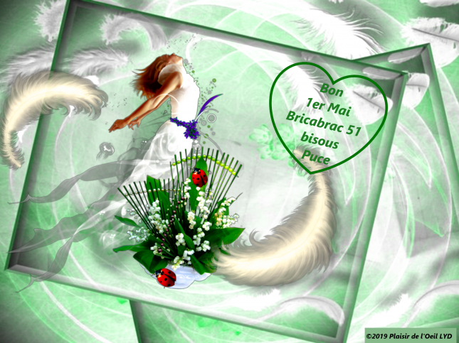 0e2bd108_InPixio12_InPixio_InPixio_InPixiobis_InPixio4