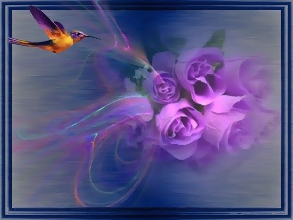 43ba61ff_InPixio_InPixio_InPixio32