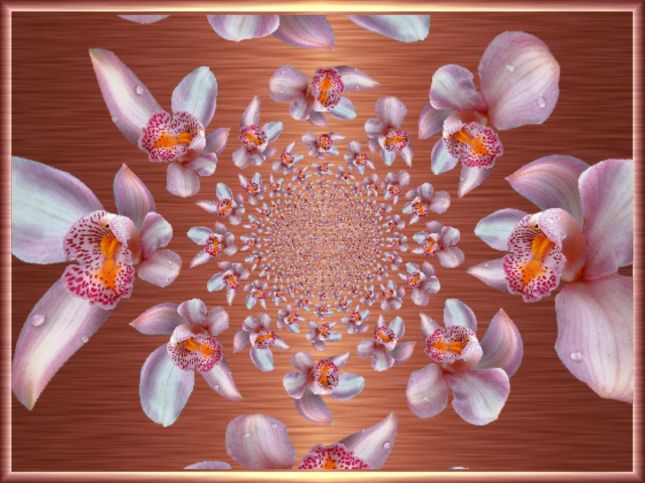 8b69f00fa1889a1394a656b6e06b06e5bis_InPixio