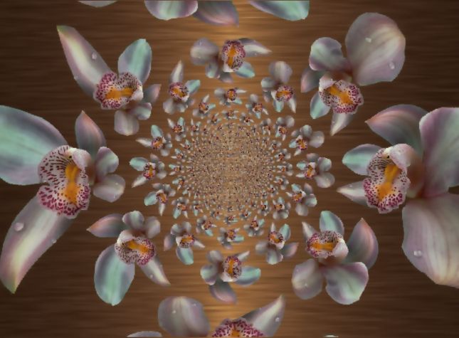 8b69f00fa1889a1394a656b6e06b06e5bis_InPixio_InPixio