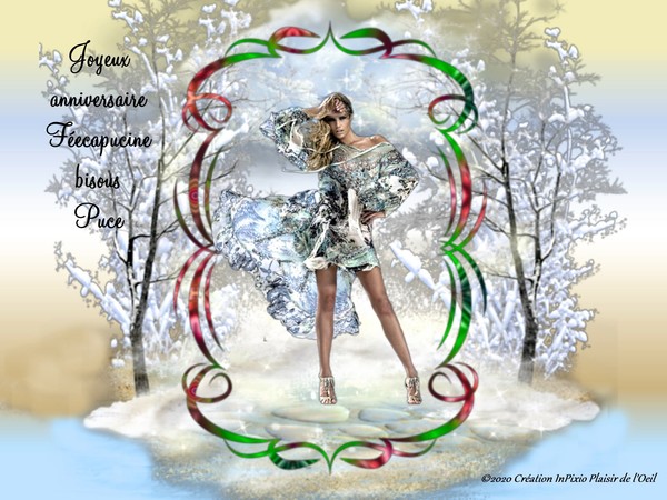 Carte pour mon amie Féecapucine 2020