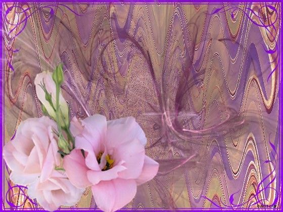 A5eYOemsSwSJVrWHGxX2JZJIIYA_InPixio02