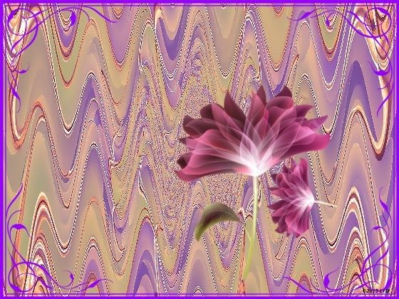 TSau2hEa1MWFMUkq9bgGw1CSUAM_InPixio