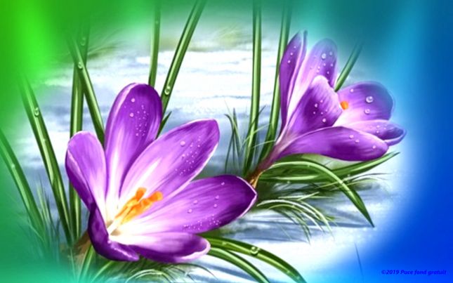 b9e57784_InPixio_InPixio