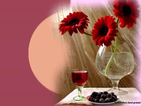 d61f82ef_InPixio_InPixio