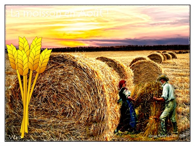 hay-bale-2360078_960_720_InPixio_InPixio_InPixio